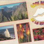 Ile de la Reunion, Mehrbildkarte ngl G3849