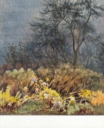 SIEGWARD SPROTTE; Novembergeschehen ngl G3862
