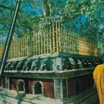 Ceylon, Anuradhapura, The sacred Bo-Tree ngl G4114