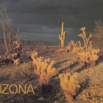 Arizona, Storm at Sunset over the Arizona Desert gl2000 G4125