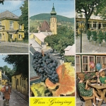 Wien - Grinzing, Mehrbildkarte ngl G4455