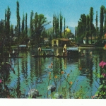 MEX Xochimilco Paisaje con Flores gl1967? C8640