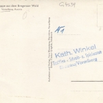 Trachtengruppe aus dem Bregenzer Wald, Vorarlberg ngl G4539
