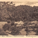 Bad Peterstal Waldrestaurant Palmspring gl1941 144.108