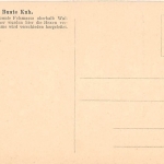 Ahrtal Bunte Kuh ngl 144.260