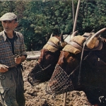 Le Laboureur de la Vie Rurale ngl G5167