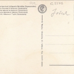 Greece, Local custome of Metsovon ngl G5276