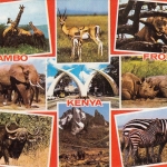Jambo from Kenia, Mehrbildkarte glum 1960? G5322