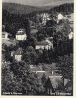 Altenau, Oberharz, Blick i.d.Kleine Oker gl1957 G5407
