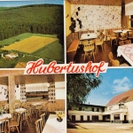 Eisenbach i.T., Gasthof "Hubertushof", Mehrbildkarte gl1971 G5444