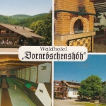 Edertal, Hamfurth, Edersee, Waldhotel Dornröschenshöh, Mehrbildkarte ngl G5960