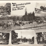 Wandern am Rennsteig, Thür.Wald, Mehrbildkarte ngl G6262