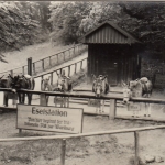 Eisenach, Wartburg-Eselstation ngl G6301