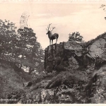 Hirschsprung im Höllental (Schwarzwald) gl1938 145.036