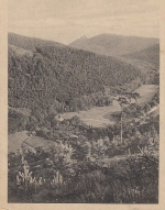 Wernigerode a.Harz Mühlental gl1925 D1001