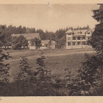 Die Schmücke im Thür. Wald ngl D1874