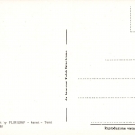 Papst Johannes Paul II ngl 148.058