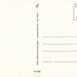 Tiere: Apricot-Pudel ngl 150.655