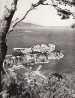 Monaco La Principauté entre les Pins ngl D3482
