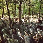 Prag - Jüdischer Friedhof ngl 148.798