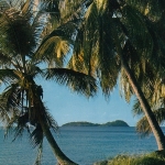 Guadeloupe Bords de mer ngl D5352