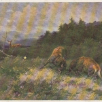 W.GRÄBHEIN Kämpfende Hirsche gl1930 D5698