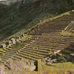 Perú Machupicchu, Inca Terraces for Agriculture ngl D6161
