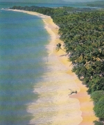 Martnique Plage de Salines gl1977 D7437