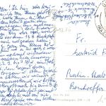 Buckow Wurzelfichte gl1961 168.071