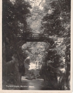 Bodetal Teufelsbrücke im Harz ngl 153.839