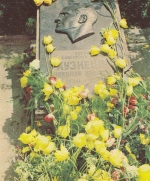 Ukraine Lviv (Lemberg) The Hill of Glory Grave of Hero ngl D8460