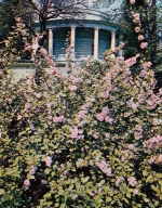 Ukraine Kiew Rotund in the Ascold's Grave Park ngl D9221