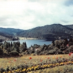 Le Lac vers Ramberchamp gl1959 156.679