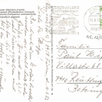 Alpenblumen Enzian Edelweiß Almrausch Glockenblume gl1982 156.750