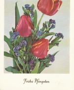 Pfingsten-Wünsche Krug mit Tulpen und Vergißmeinnicht ngl E0017