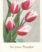 Pfingsten-Wünsche Krug mit Tulpen ngl E0018