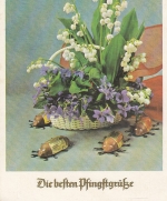 Pfingsten-Wünsche Krug mit Schneeglöckchen gl1963? E0019