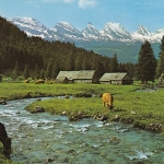 Unterwasser (Obertoggenburg), Aelpli mit Churfirsten ngl E0467