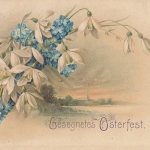 Ostern-Wünsche mit Schneeglöckchen gl1903 E0481