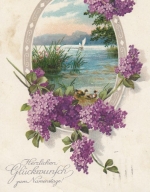 Namenstag-Gruß Landchaft mit Blümchen gl1920 E0814