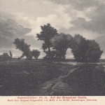 MAX J. de SURY Auf der Bregenzer Heide nahe Bodensee gl1908 E0933