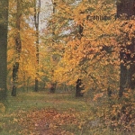 Pfingsten-Wünsche mit herbstlichem Wald gl1910? E0965