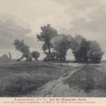 MAX J. de SURY Auf der Bregenzer Heide nahe Bodensee ngl E1202