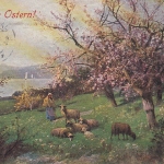 Ostern-Wünsche mit Schafen und blühenden Obstbäumen gl1910? E1362