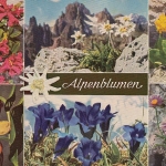 Alpenblumen gl1967? E1366