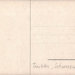 Trachten: Schwäbische Volkstrachten nach Gemälde von Th. Lauxmann ngl 161.343