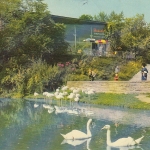 Stuttgart Höhenpark Killesberg Milchbar gl1969 E1796
