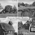 Born (Darß) Saaler Bodden Teilansichten ngl 169.856