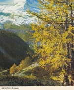 Matterhornim Frühherbst ngl E2098
