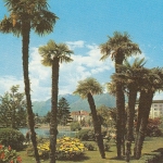 Locarno, Lago Maggiore, Giardini Lungolago gl1964 E2108